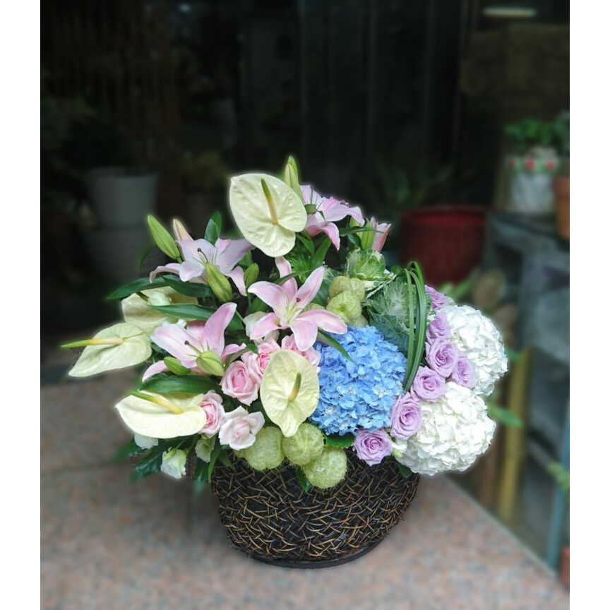 盆花34 盆花34