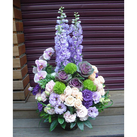 盆花紫色n 盆花紫色n