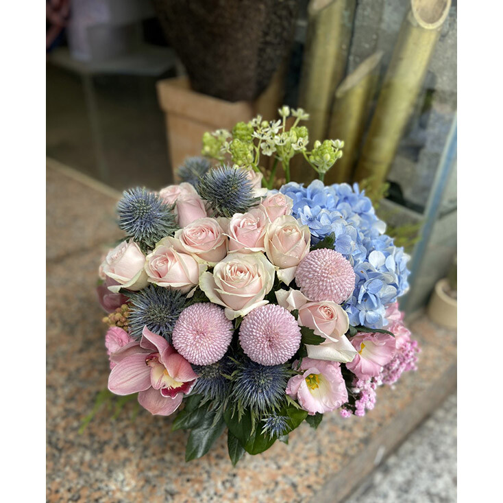 夢幻乒乓 盆花