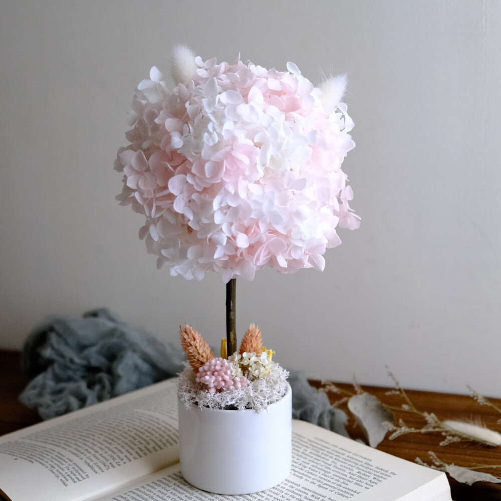不凋花球樹-粉色兔子3