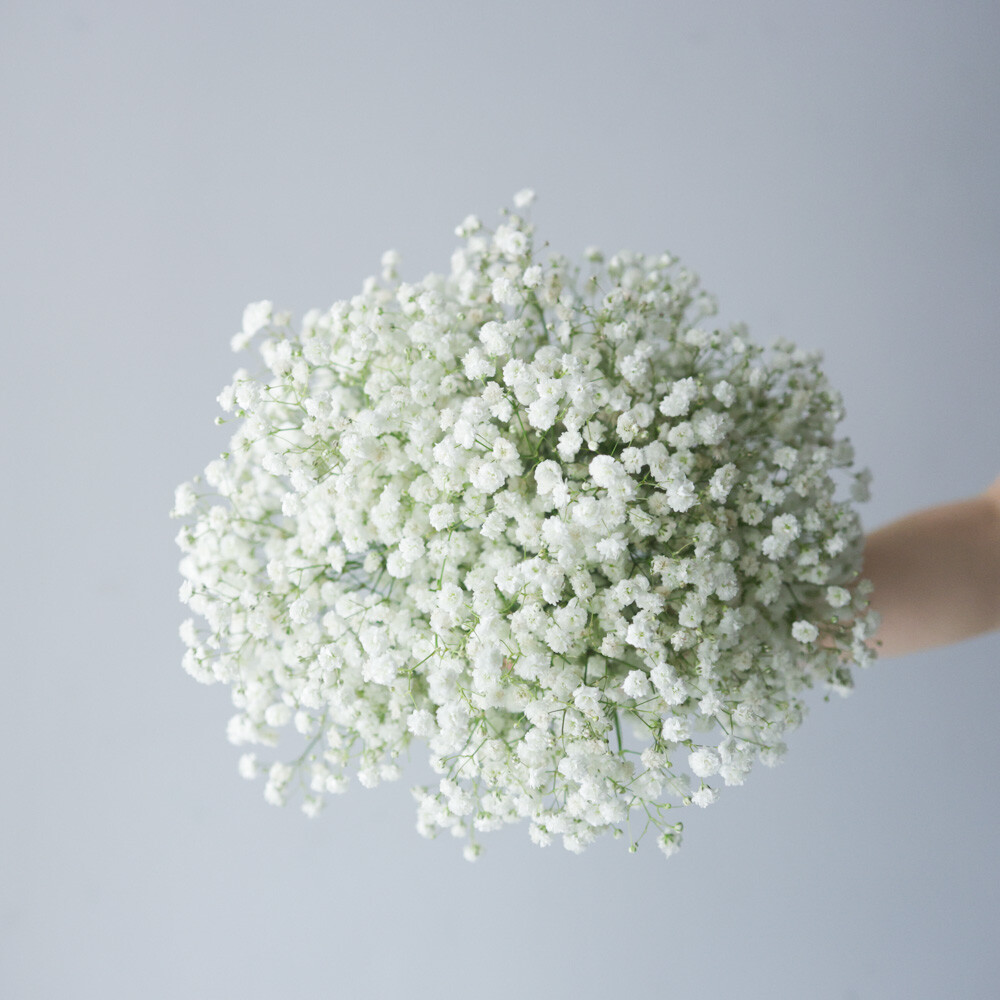 滿天心捧花1